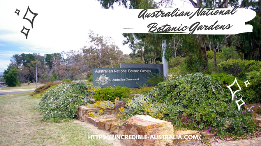 Australian National Botanic Gardens - things to do in Canberra for couples
