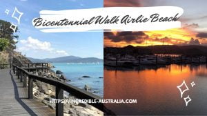 Read more about the article Bicentennial Walk Airlie Beach