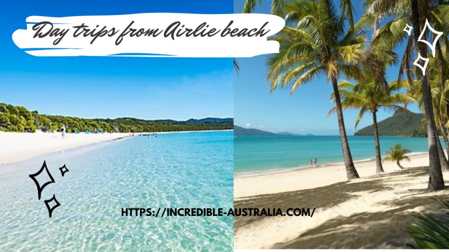 Day trips from Airlie beach