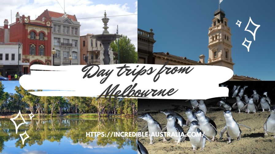 11 Day trips from Melbourne