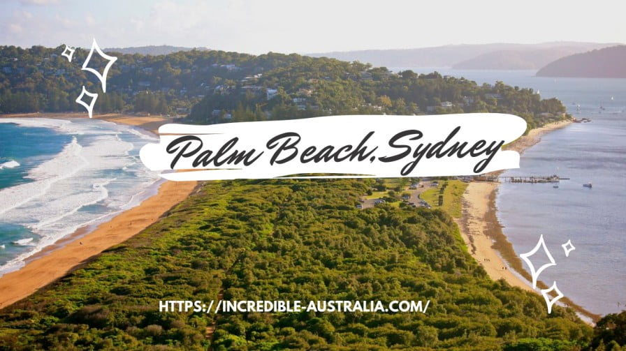 Read more about the article Beautiful Palm Beach Sydney and No 1 Popular Spot for Locals