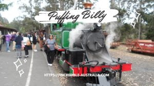 Read more about the article Puffing Billy Steam Train