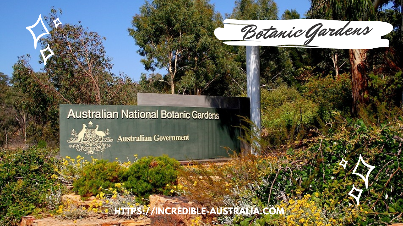 Australian National Botanic Gardens - Top 7 Things to do in Canberra