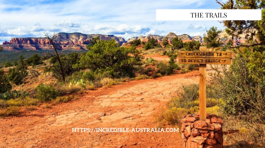 Biking in the Mountains - Things to do in Sedona