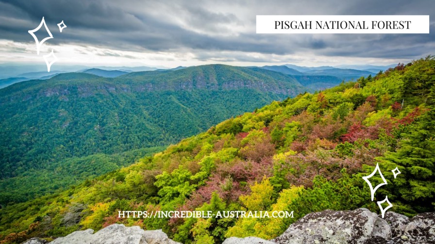 Pisgah National Forest - North Carolina mountains