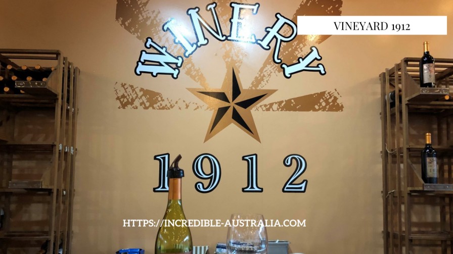 Vineyard 1912