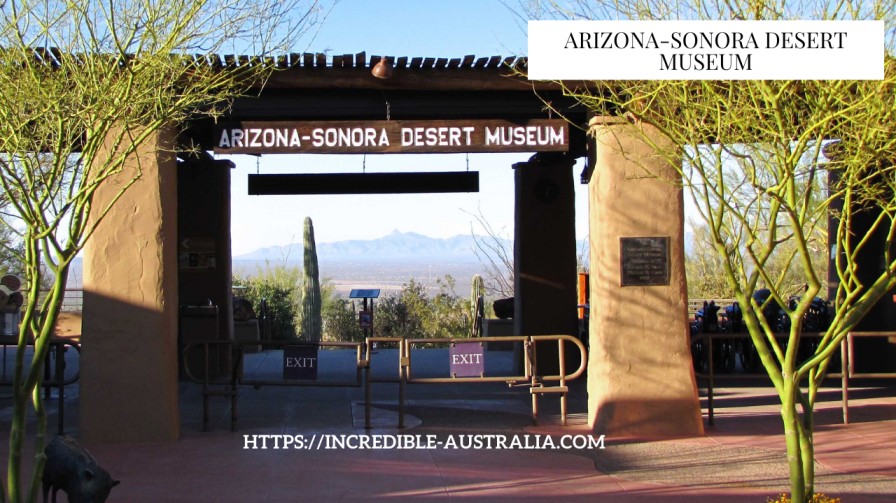 Arizona-Sonora Desert Museum - things to do in tucson today