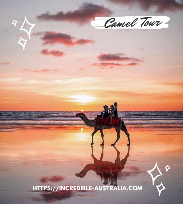 Camel Tour on Sunset