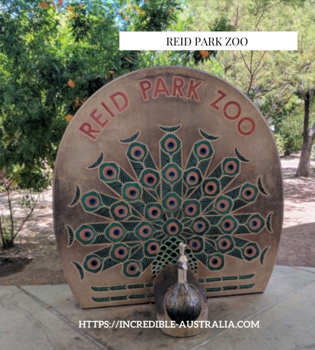 Reid Park Zoo 