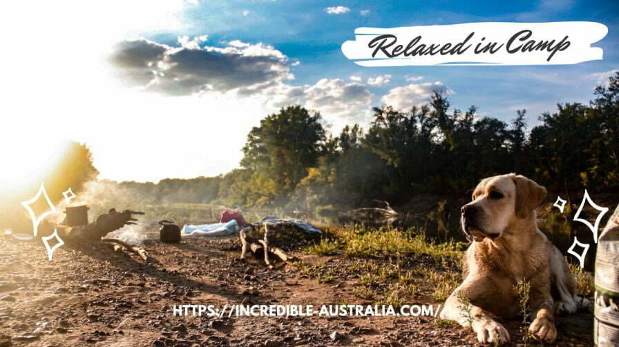 Relaxed in Camp - - Pet Friendly Camping