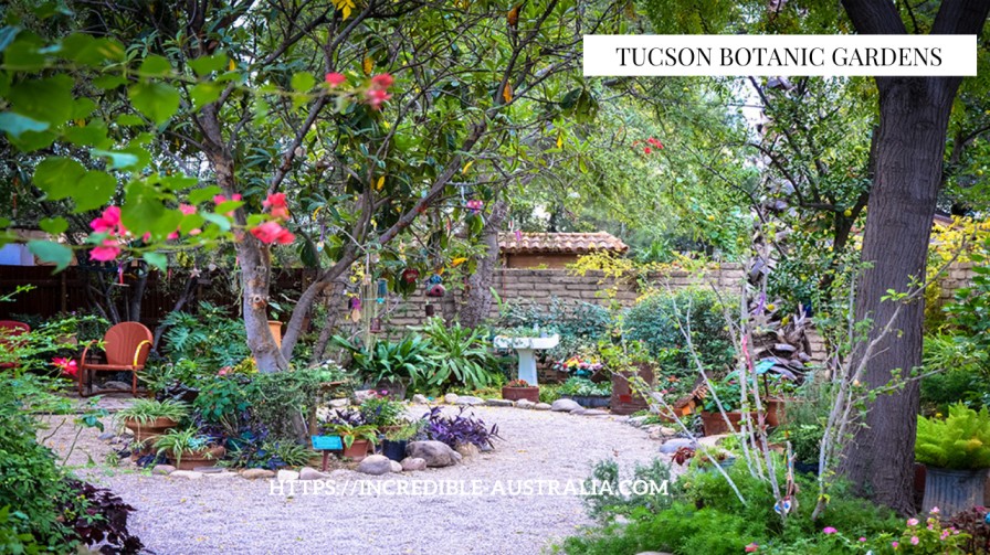 Tucson Botanic Gardens - things to do in Tucson for couples