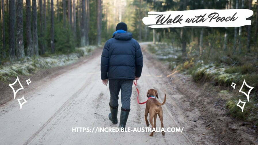 Walk with Furry Friend - Pet Friendly Camping