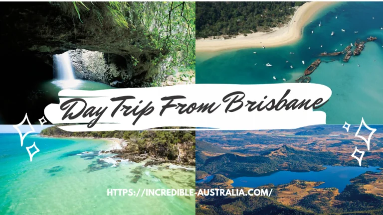 Day Trip From Brisbane