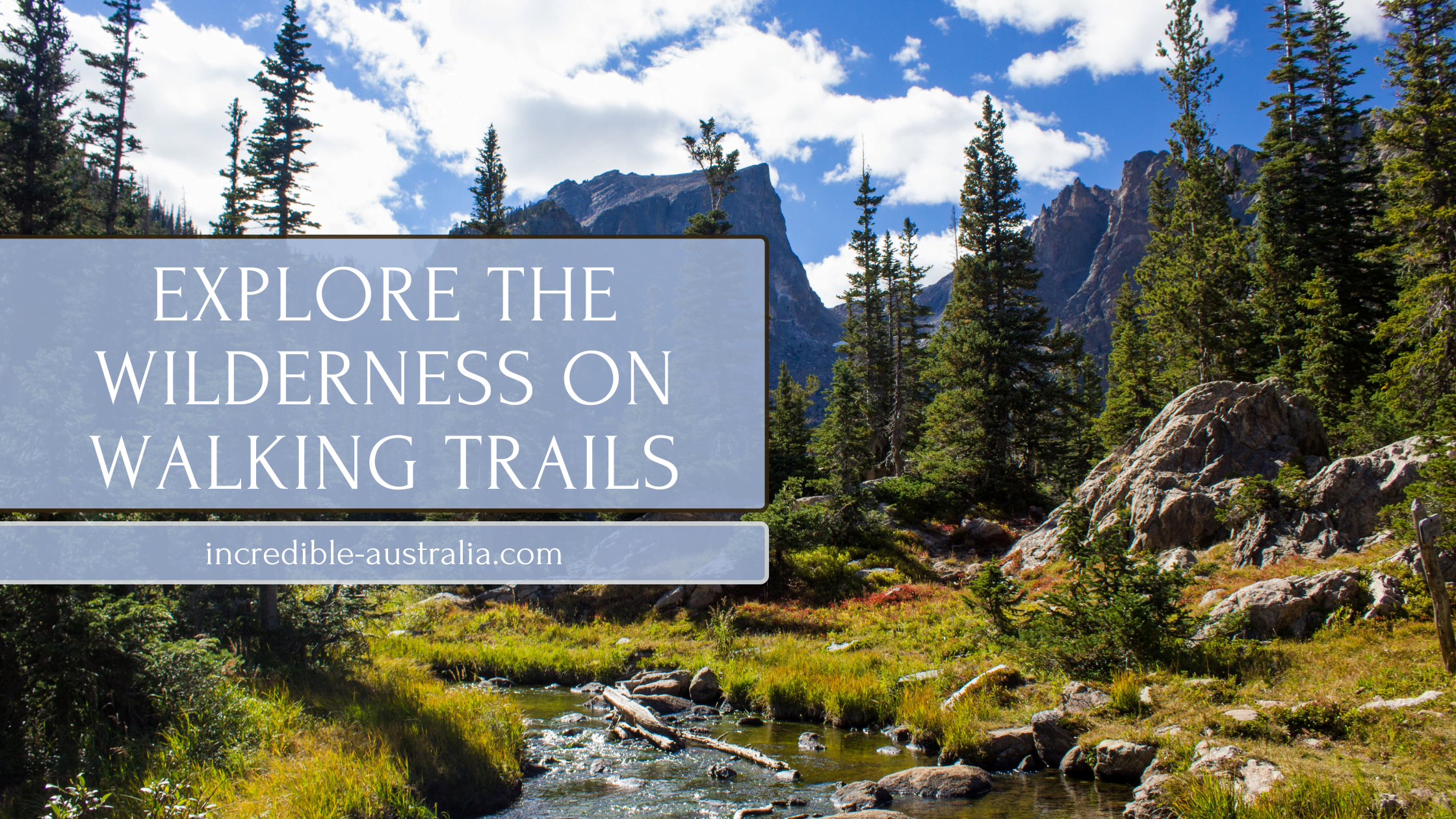 Explore the Wilderness on Walking Trails