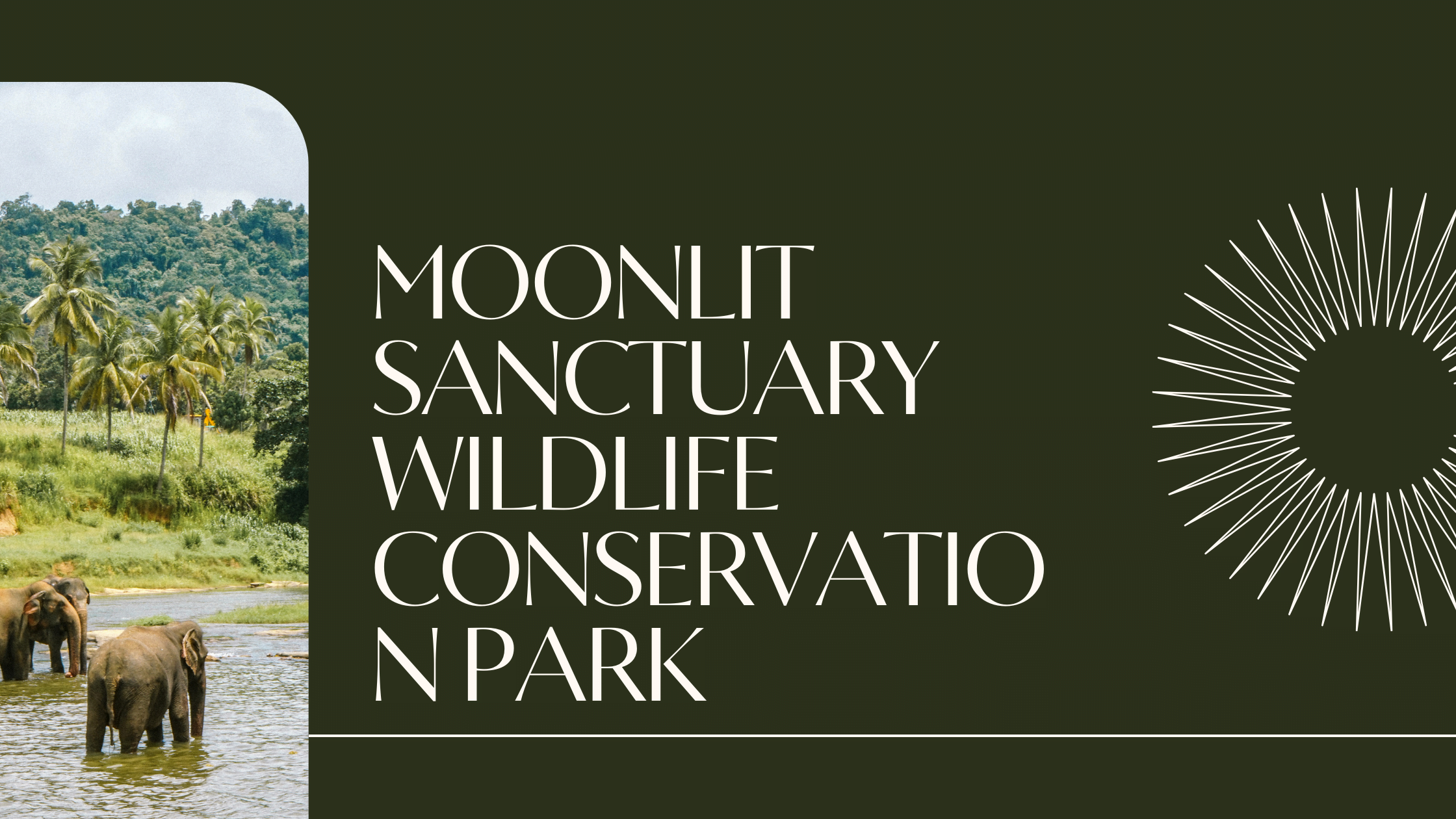 Moonlit Sanctuary Wildlife Conservation Park