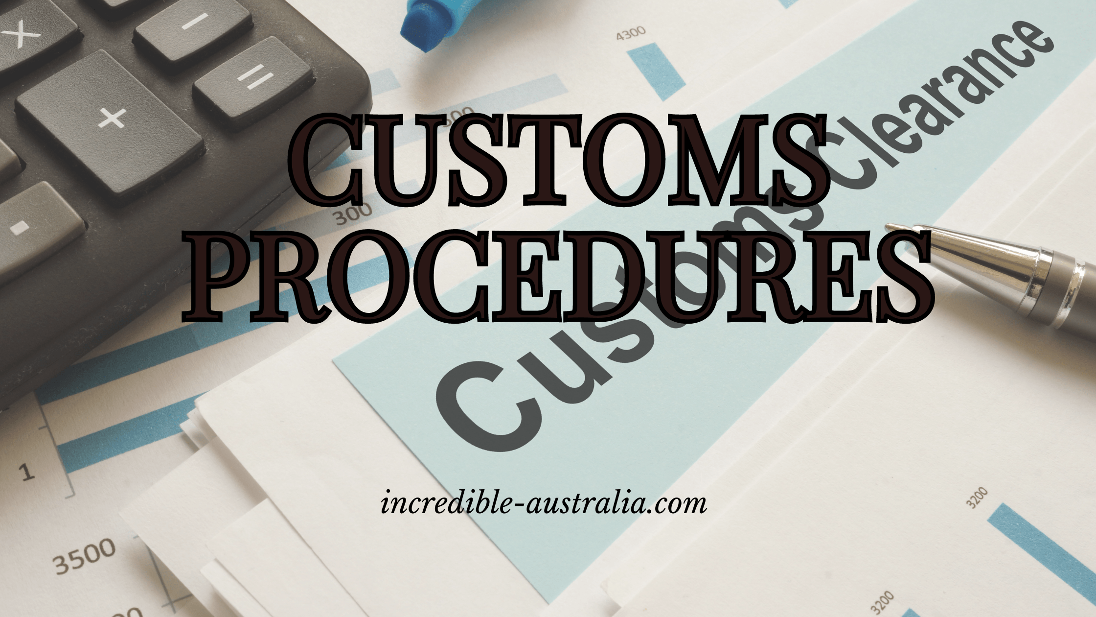 Navigating Customs Procedures: