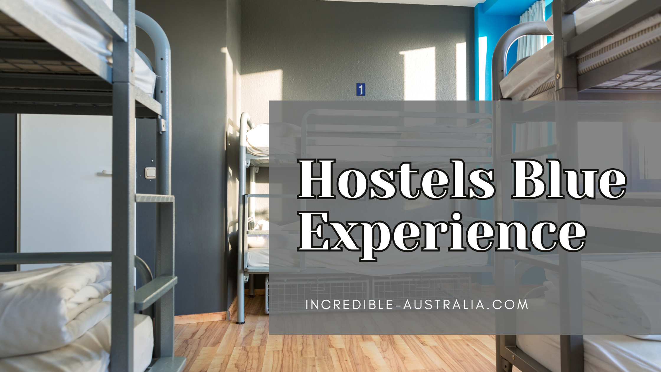 Navigating the Hostels Blue Experience
