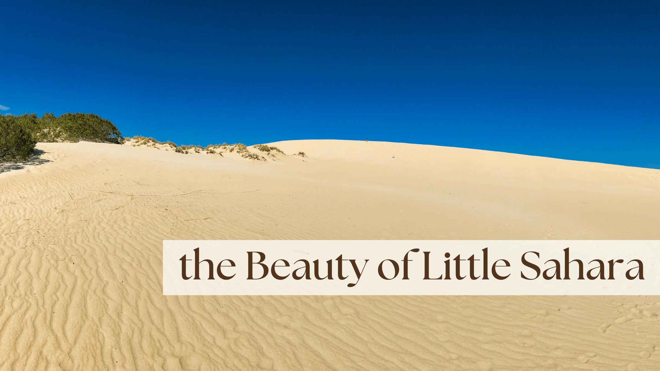 the Beauty of Little Sahara