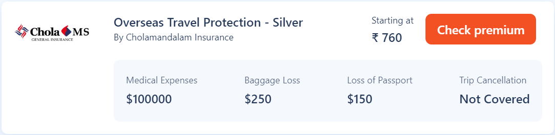 Overseas Travel Protection-Silver